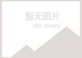 岐山县傲之咨询有限公司